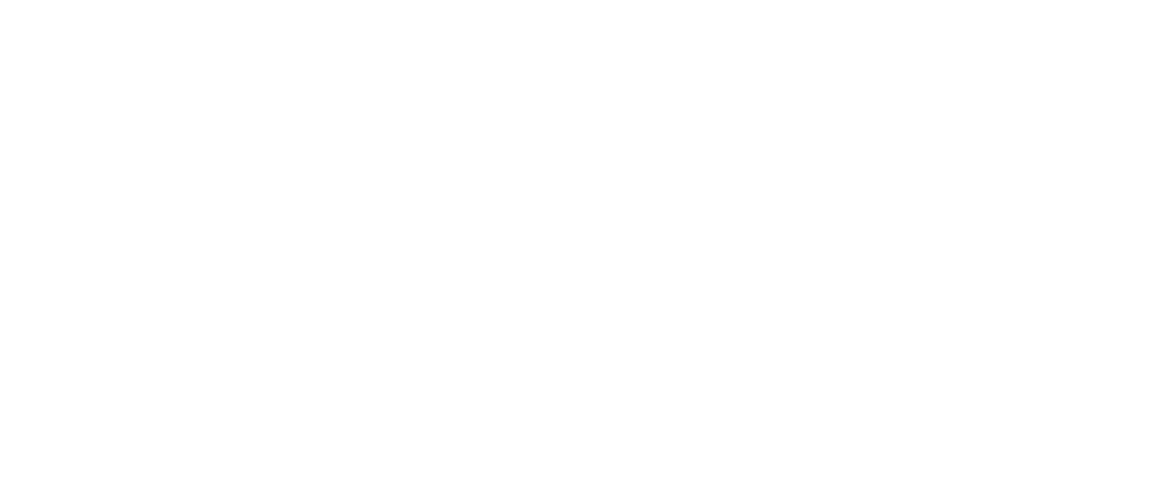 Логотип проекта STAKE